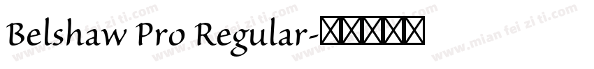 Belshaw Pro Regular字体转换